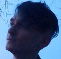 Вадим Антиликаторов