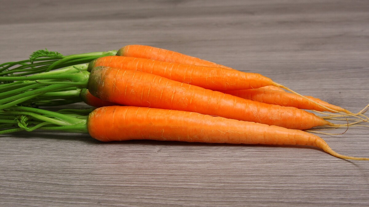 Почему горчит морковка с грядок: правильный ответ знают единицы
