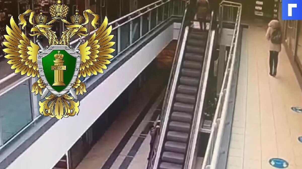 Возбуждено уголовное дело после падения мальчика с эскалатора в ТЦ в Москве
