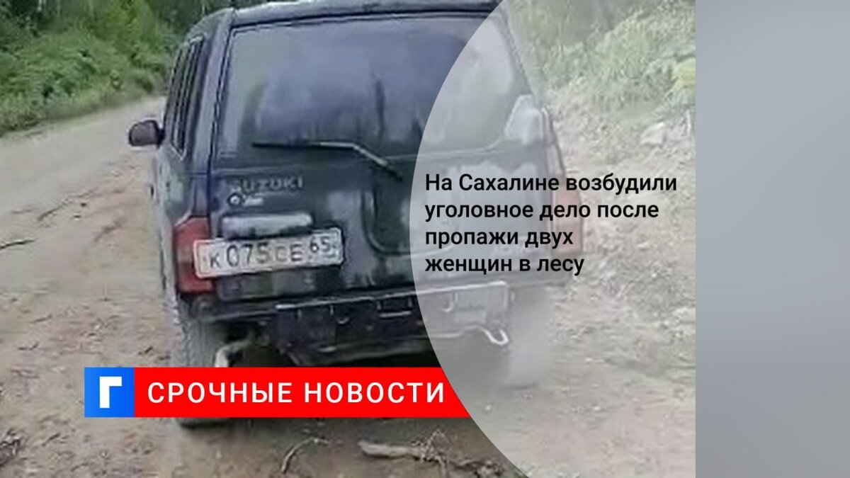 На Сахалине возбудили уголовное дело после пропажи двух женщин в лесу