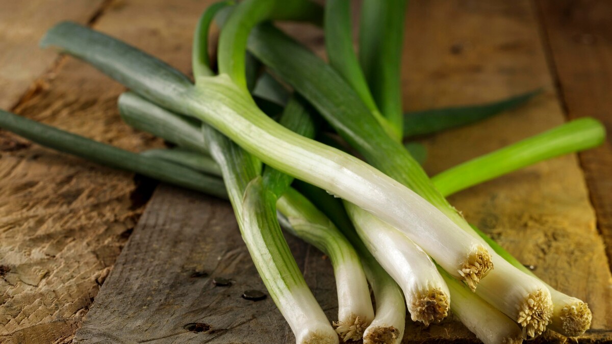 Непростой овощ: названы три неожиданных полезных свойства зеленого лука