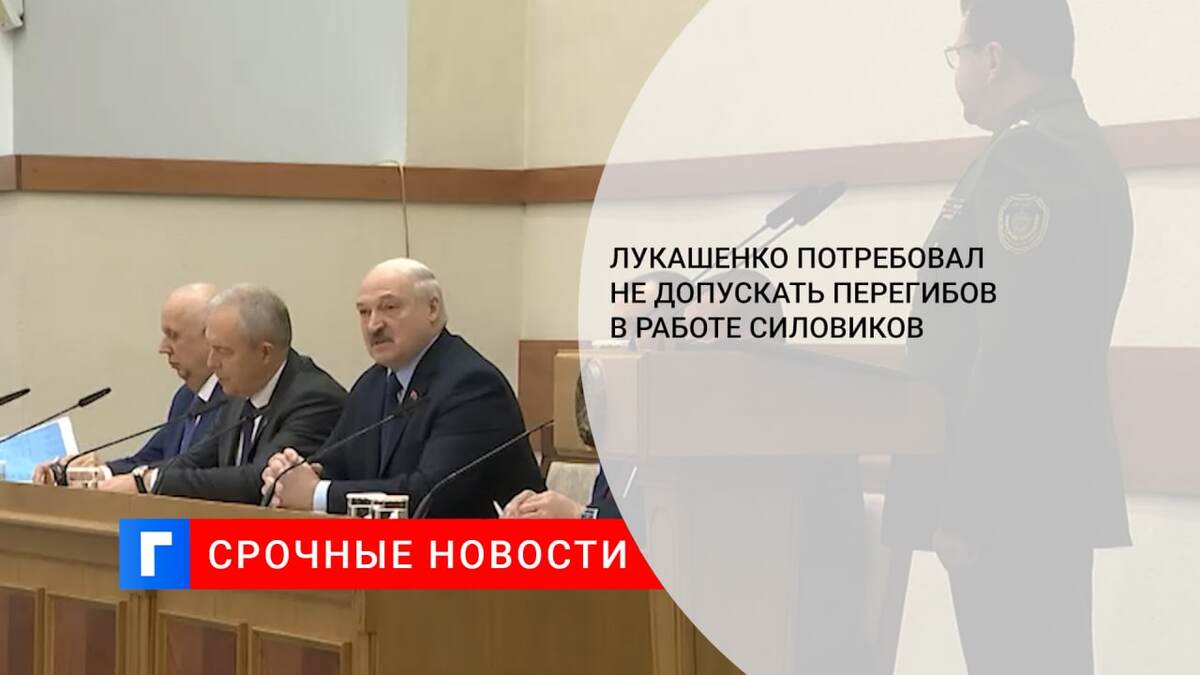 Лукашенко потребовал не допускать перегибов в работе силовиков