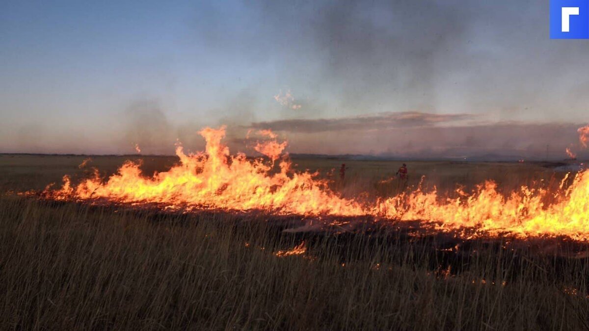 Лесной пожар в Омской области уничтожил 25 строений
