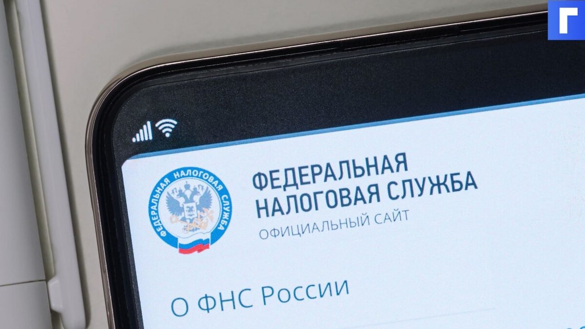 Пользователи жалуются на сбои в работе сайтов российских госорганов