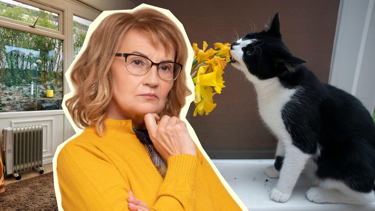 Кошка подает тревожный знак: вот почему она грызет домашние цветы