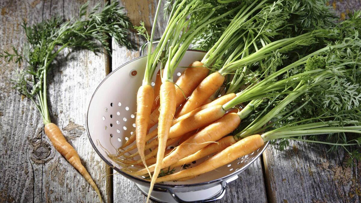 Морковь храните только в этой емкости: пролежит всю зиму и не сгниет