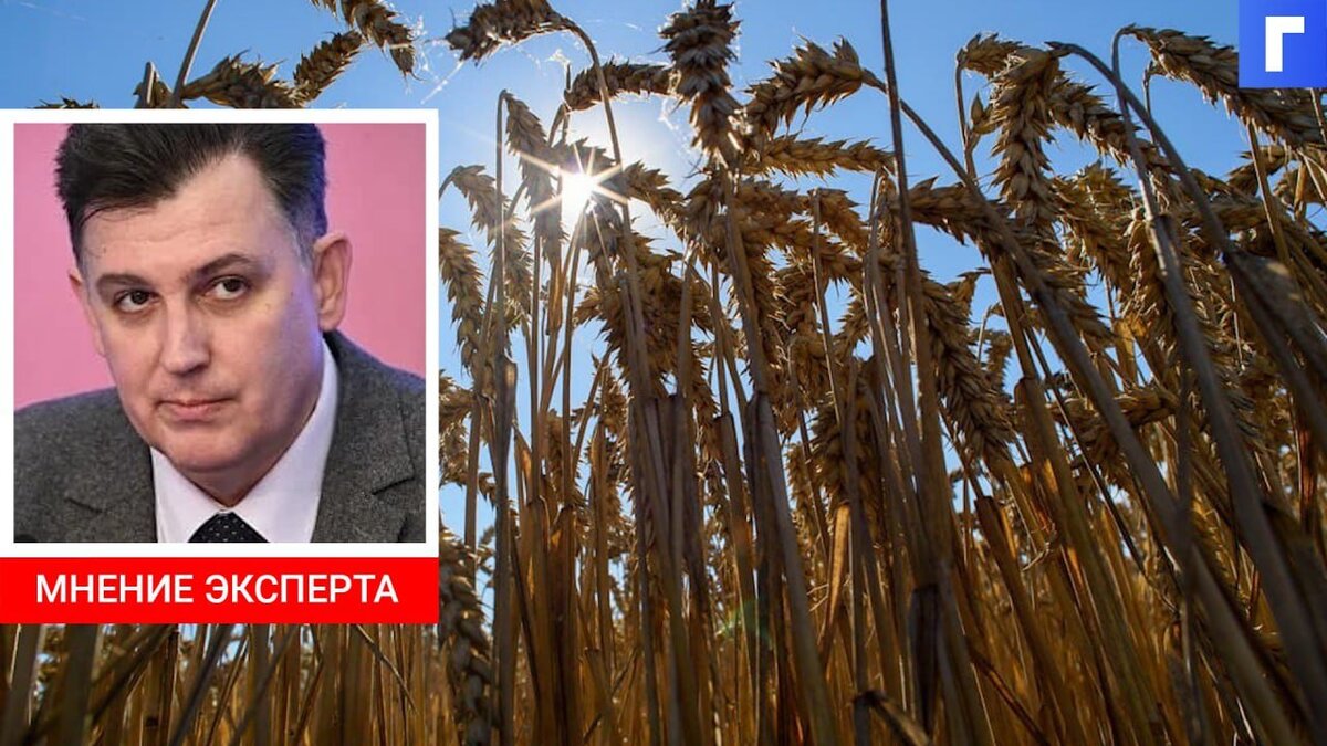 Украина запретила ввоз пшеницы, масла и бумаги из России