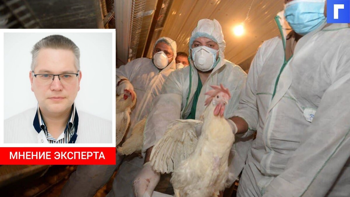 Попова не исключила передачу нового типа птичьего гриппа между людьми