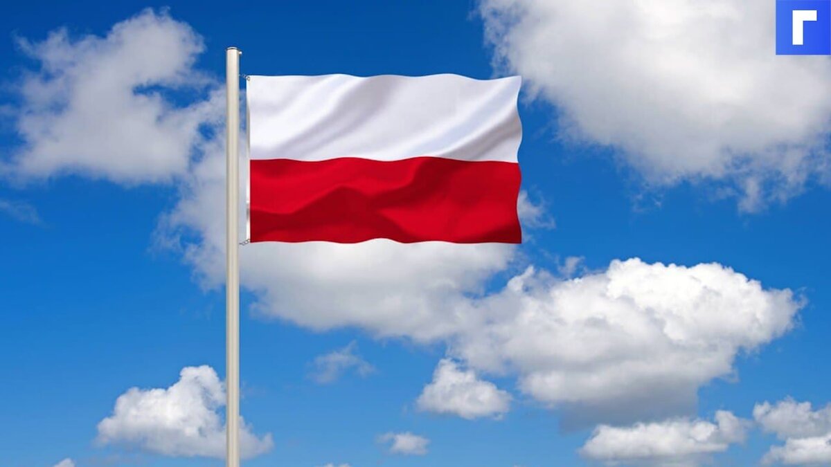 Польша созвала совещание Вышеградской группы для обсуждения России