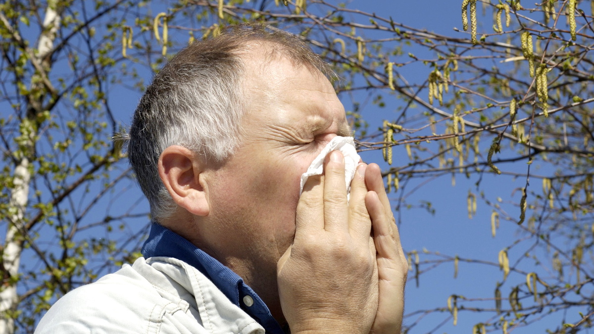 «И так до конца сентября»: врач-иммунолог объяснила, почему аллергикам нельзя расслабляться