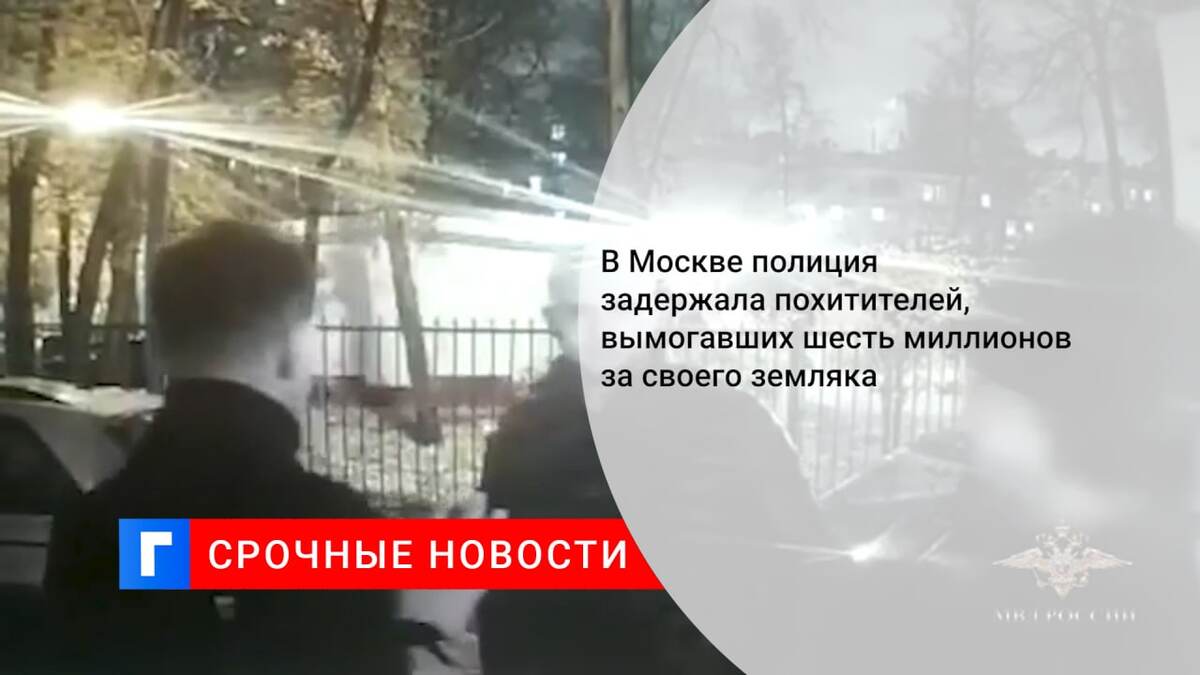 В Москве полиция задержала похитителей, вымогавших шесть миллионов за своего земляка