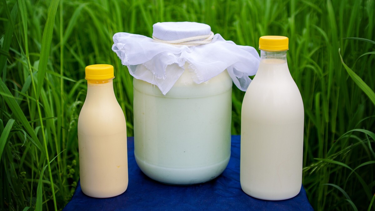 Доктор Мясников высказался о возможной связи развития рака с употреблением молока