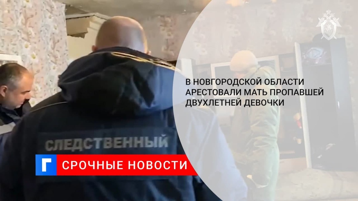 В Новгородской области арестовали мать двухлетней девочки, пропавшей несколько дней назад В Новгородской области арестовали мать двухлетней девочки, пропавшей несколько дней назад