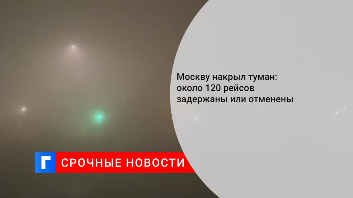 Москву накрыл туман: около 120 рейсов задержаны или отменены