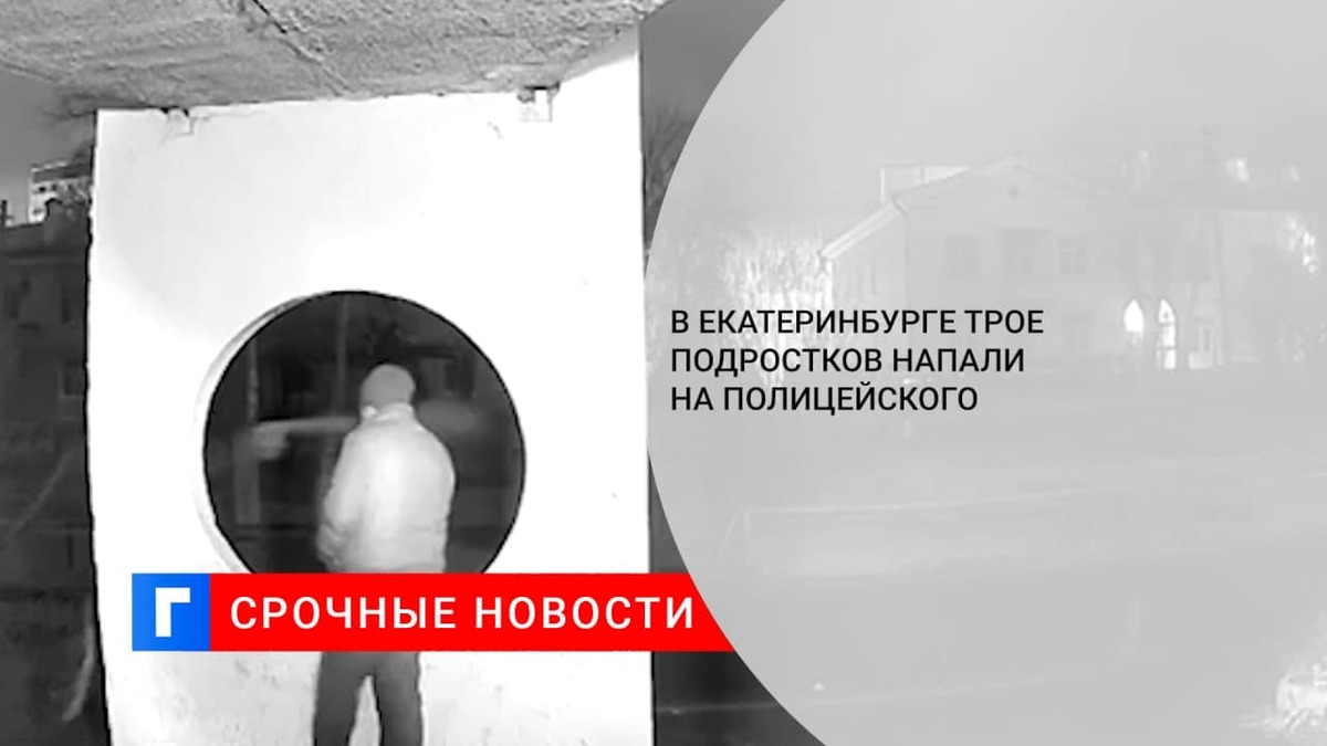 В Екатеринбурге трое подростков напали на полицейского
