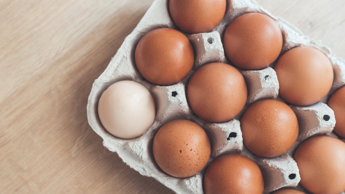 Вы удивитесь, но не из-за пользы: вот почему в магазине нужно брать только белые яйца