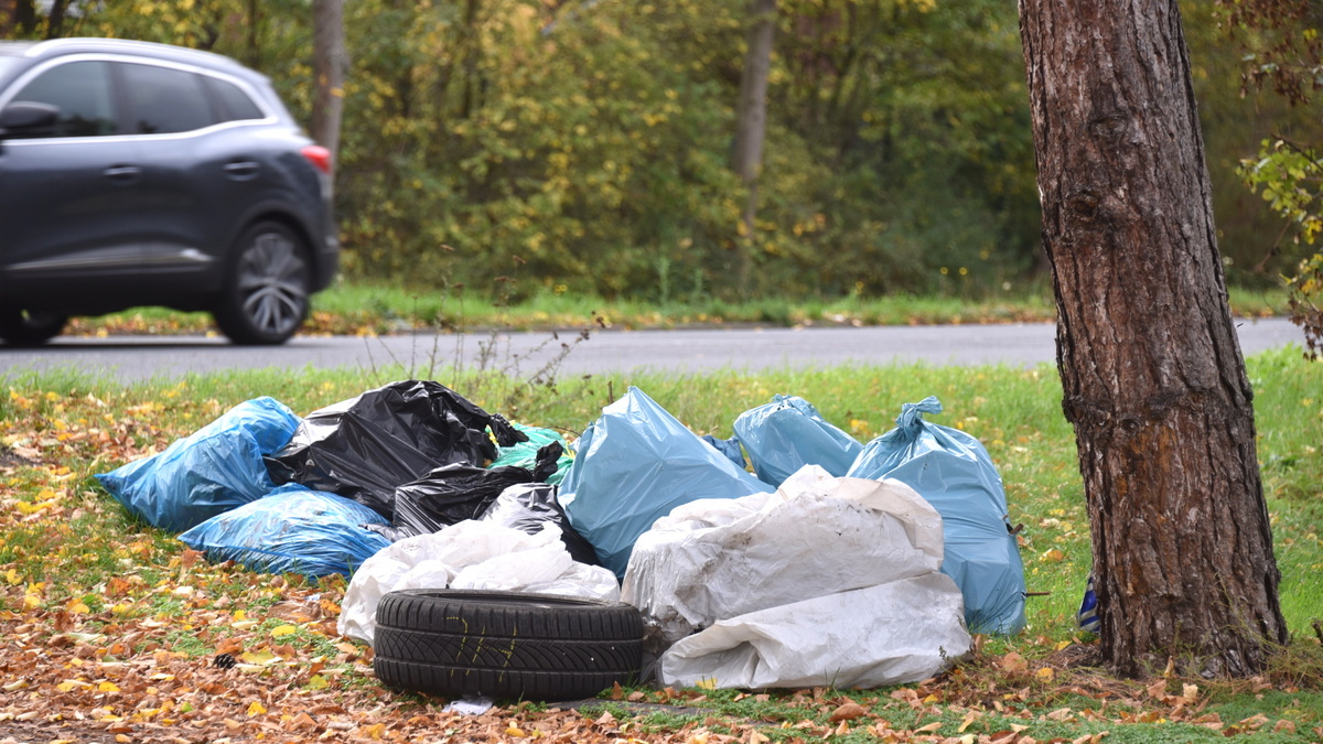Конфискация: теперь за мусор из машины можно запросто лишиться автомобиля