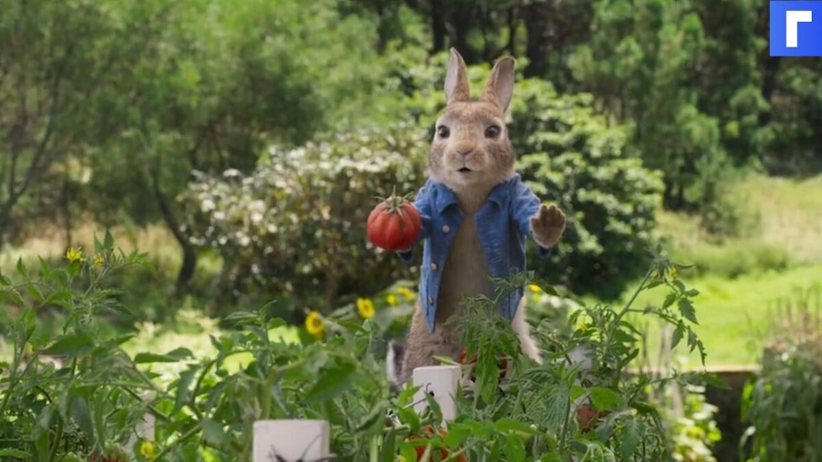 «Кролик Питер 2» возглавил российский прокат в выходные 