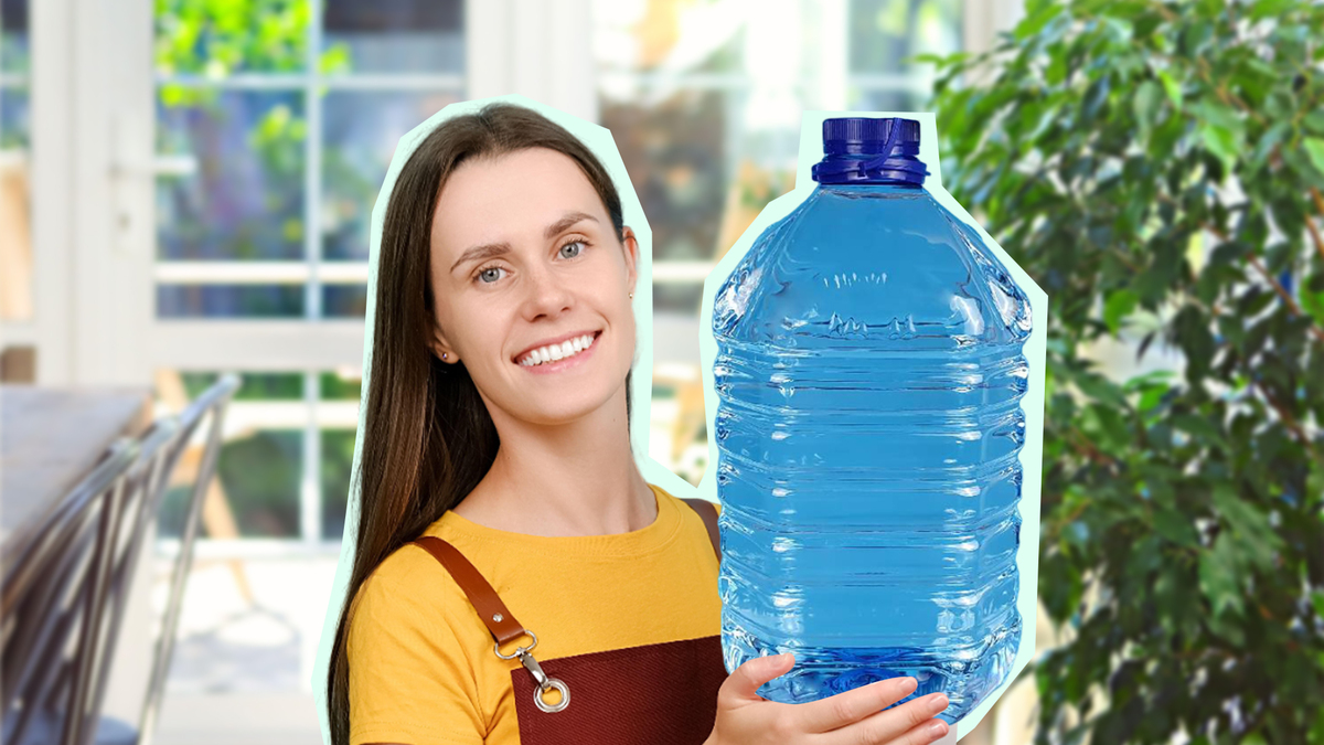 Не выбрасывайте большие пластиковые бутыли: будут полезны всем, кто сажает рассаду