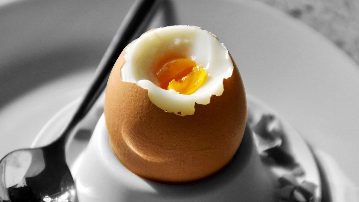 Экономим на яйцах: как сварить завтрак и не потратить электричество зря