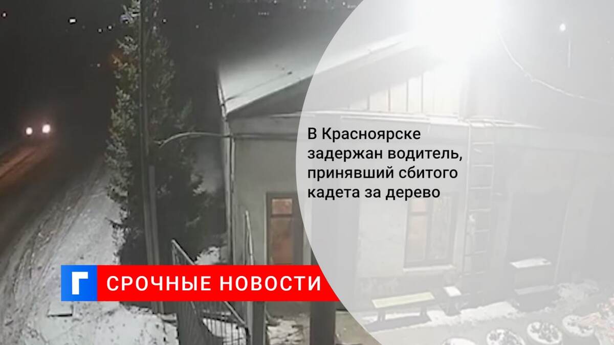 В Красноярске задержан водитель, принявший сбитого кадета за дерево