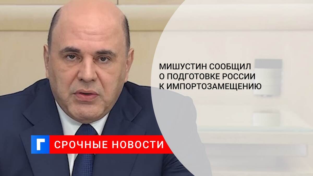 Мишустин сообщил о подготовке России к импортозамещению