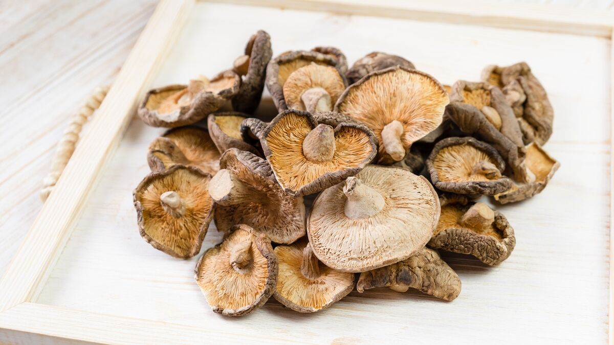 Сушеные грибы будут как свежие: вот как правильно подготовить их к жарке