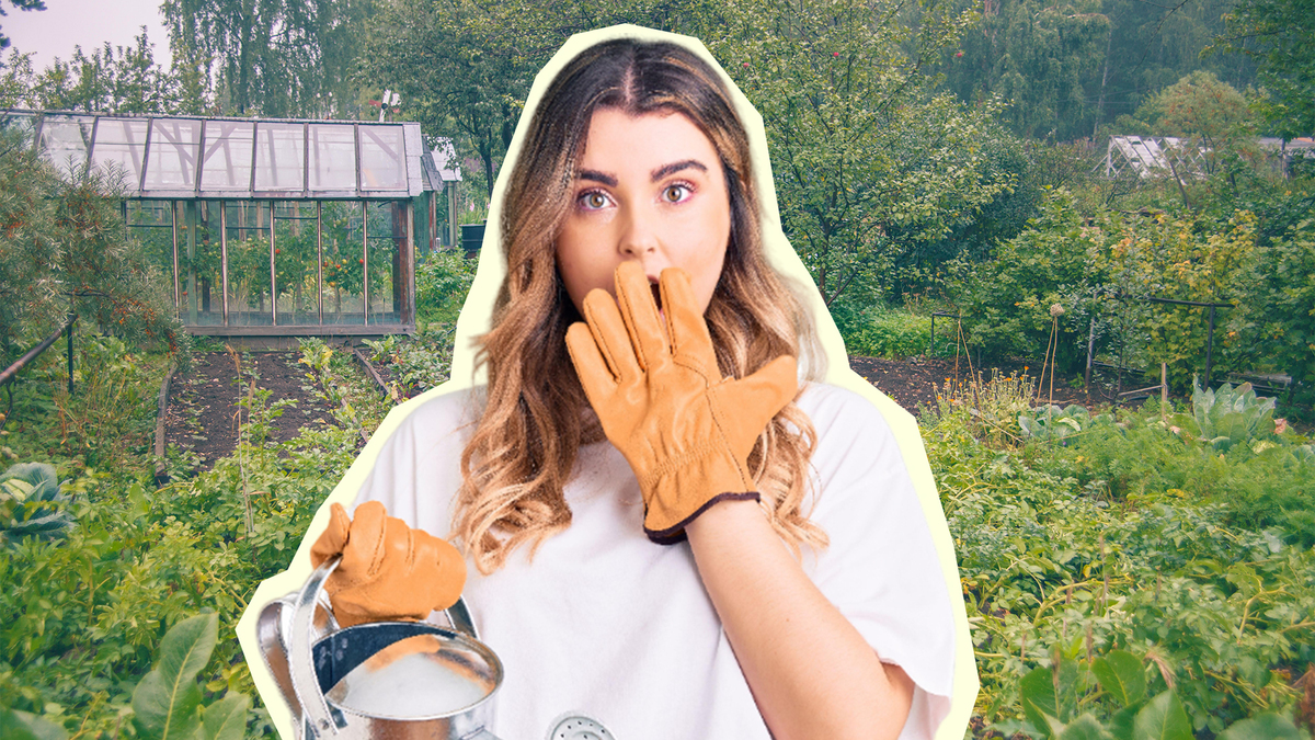 Полезное удобрение превратится в яд: вот как нельзя использовать золу на участке