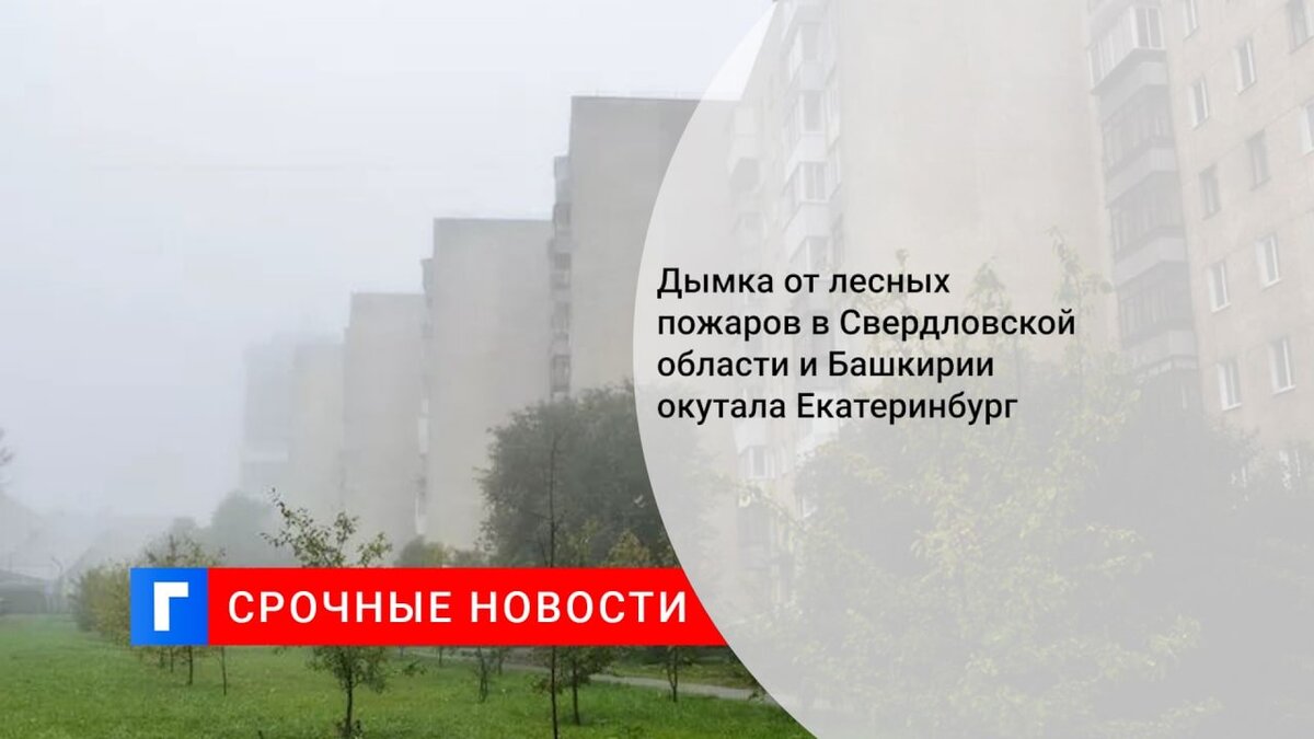 Дымка от лесных пожаров в Свердловской области и Башкирии окутала Екатеринбург