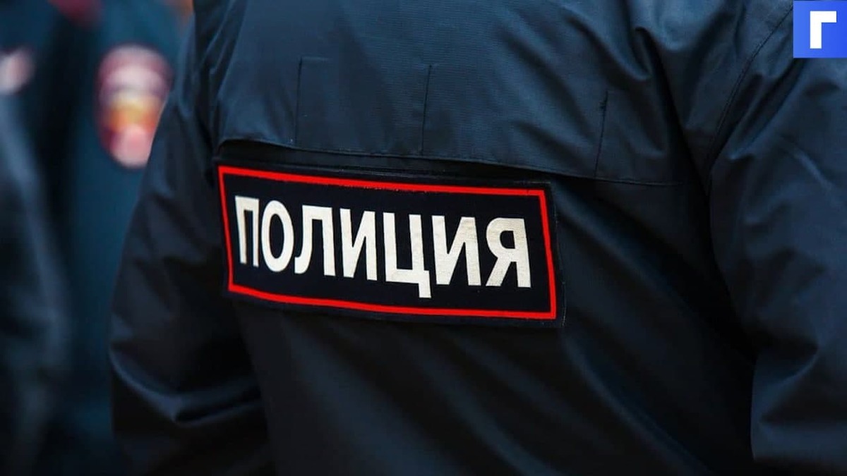 В московском метро мужчина столкнул пассажира на рельсы В московском метро мужчина столкнул пассажира на рельсы