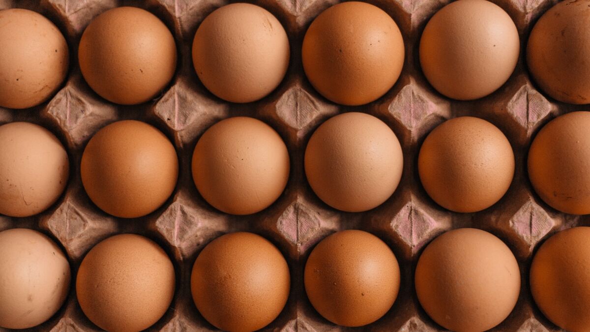 Будут ли яйца снова стоить 70 рублей за десяток: экономист дал честный ответ