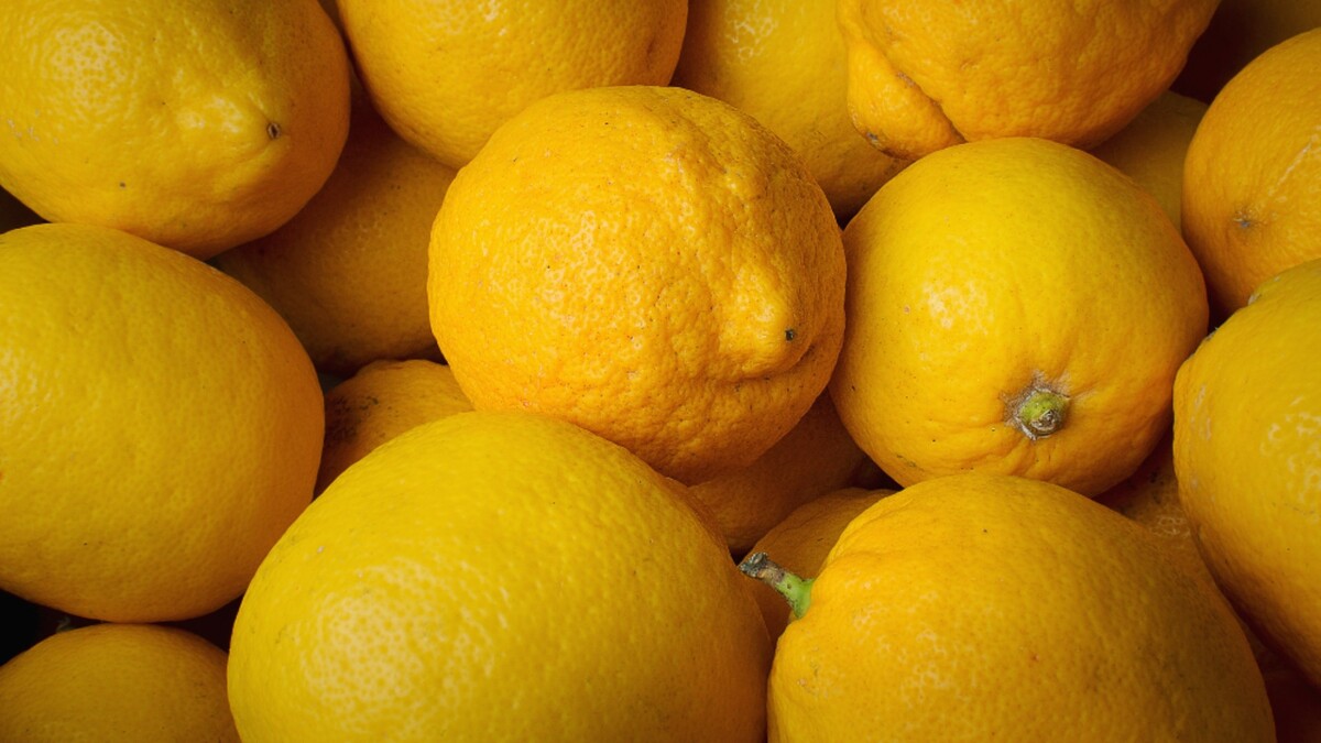 Невозможно оторваться: соленые лимоны по-мароккански завоюют сердца ваших домочадцев за один ужин