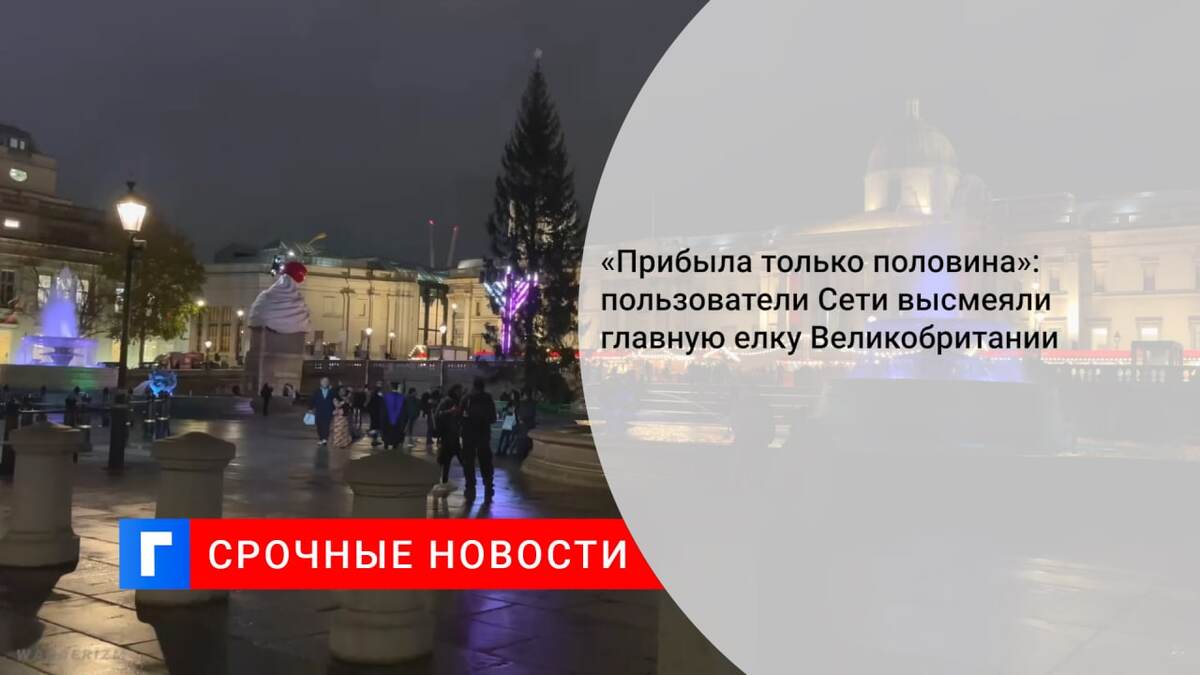 «Прибыла только половина»: пользователи Сети высмеяли главную елку Великобритании