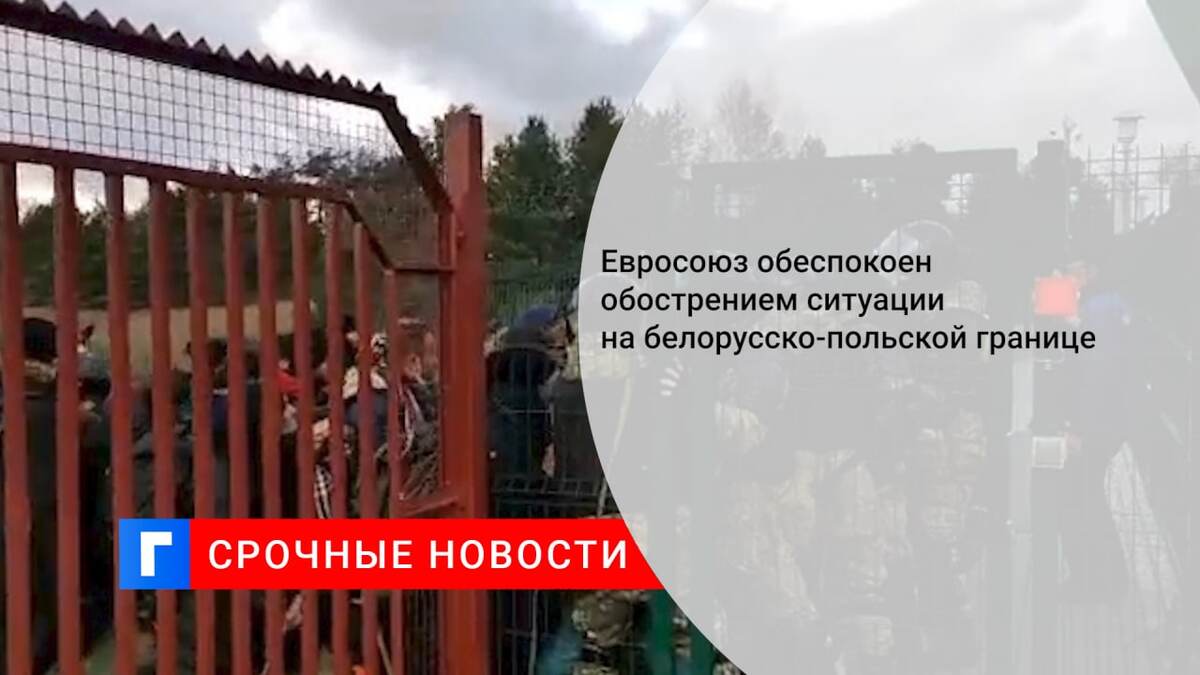 Евросоюз обеспокоен обострением ситуации на белорусско-польской границе