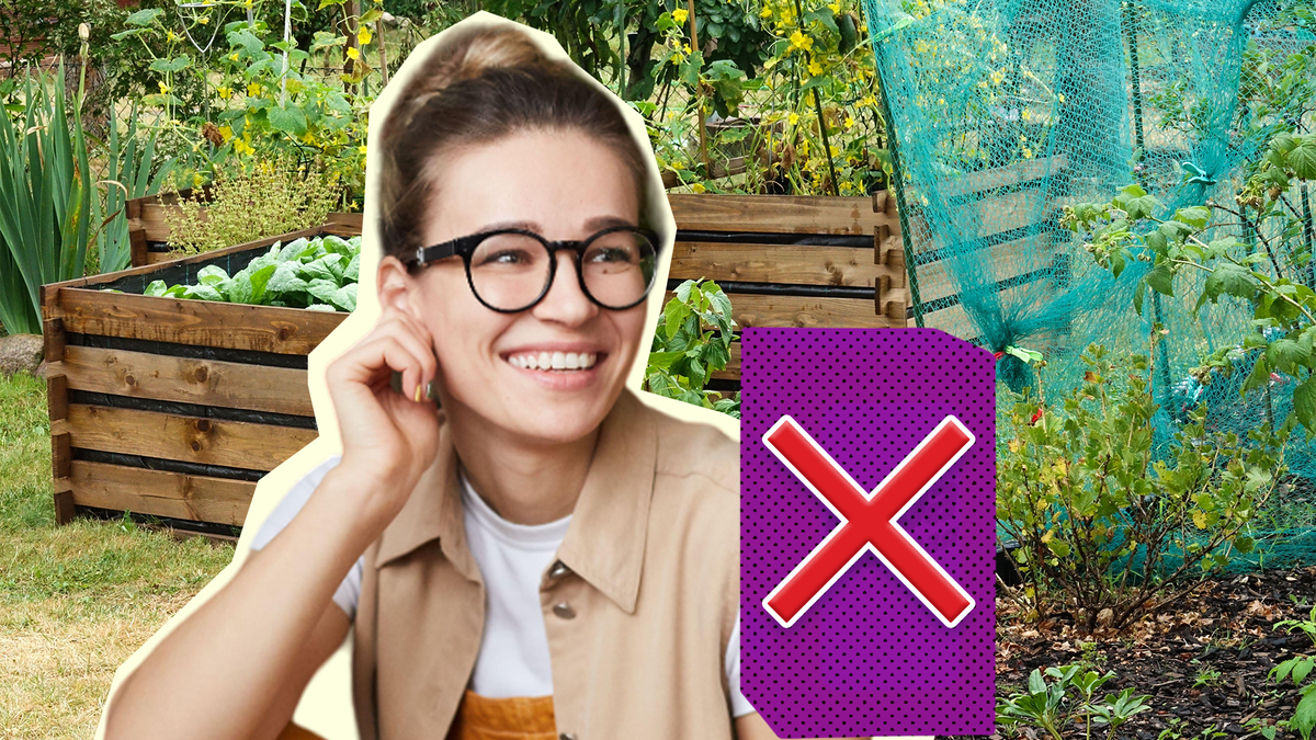 Не вздумайте вносить это средство в почву: загубите все посадки