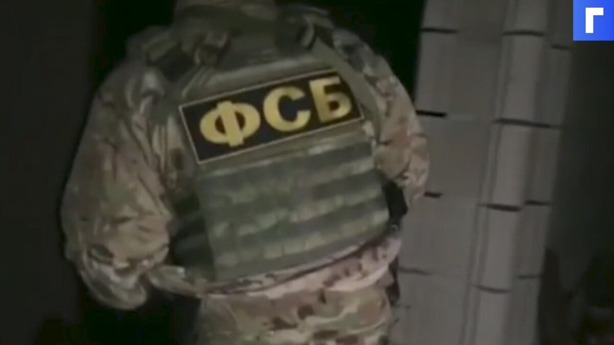 В девяти городах РФ задержали украинских неонацистов, готовивших взрывы 