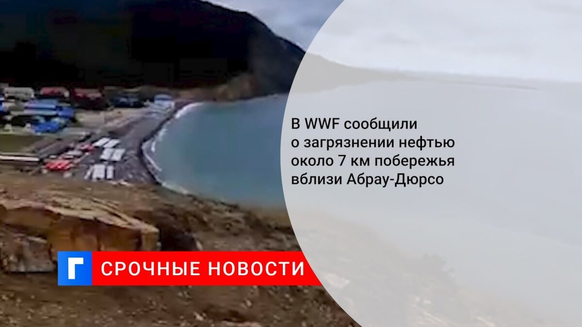 В WWF сообщили о загрязнении нефтью около 7 км побережья вблизи Абрау-Дюрсо