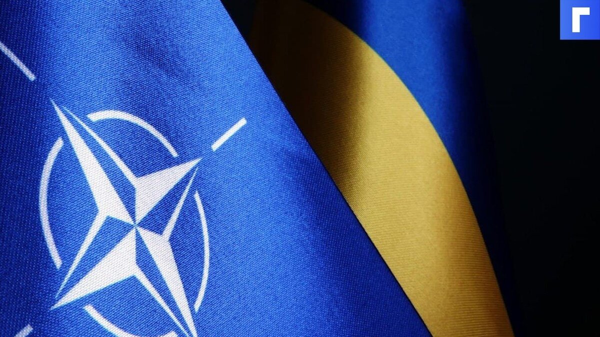 Генерал СБУ предупредил, что Украина потеряет территории из-за НАТО