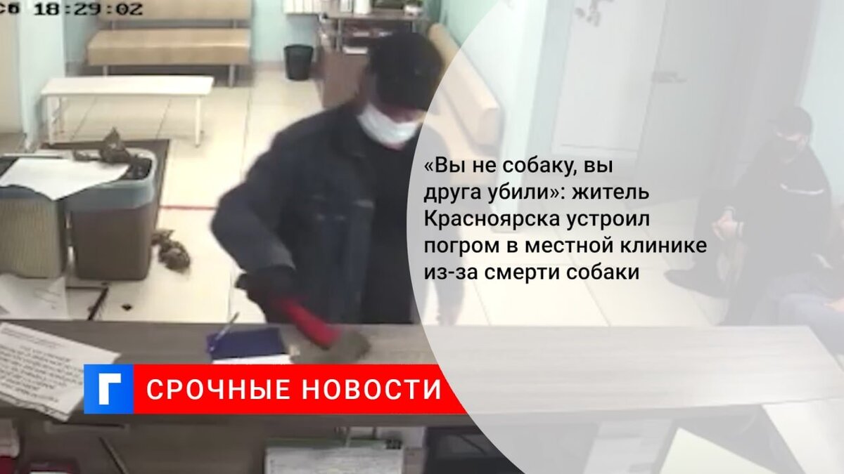 «Вы не собаку, вы друга убили»: житель Красноярска устроил погром в местной клинике из-за смерти собаки