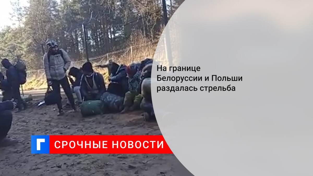 На границе Белоруссии и Польши раздалась стрельба На границе Белоруссии и Польши раздалась стрельба