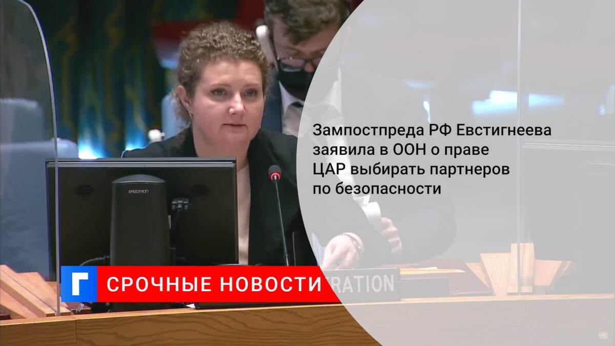 Зампостпреда РФ Евстигнеева заявила в ООН о праве ЦАР выбирать партнеров по безопасности
