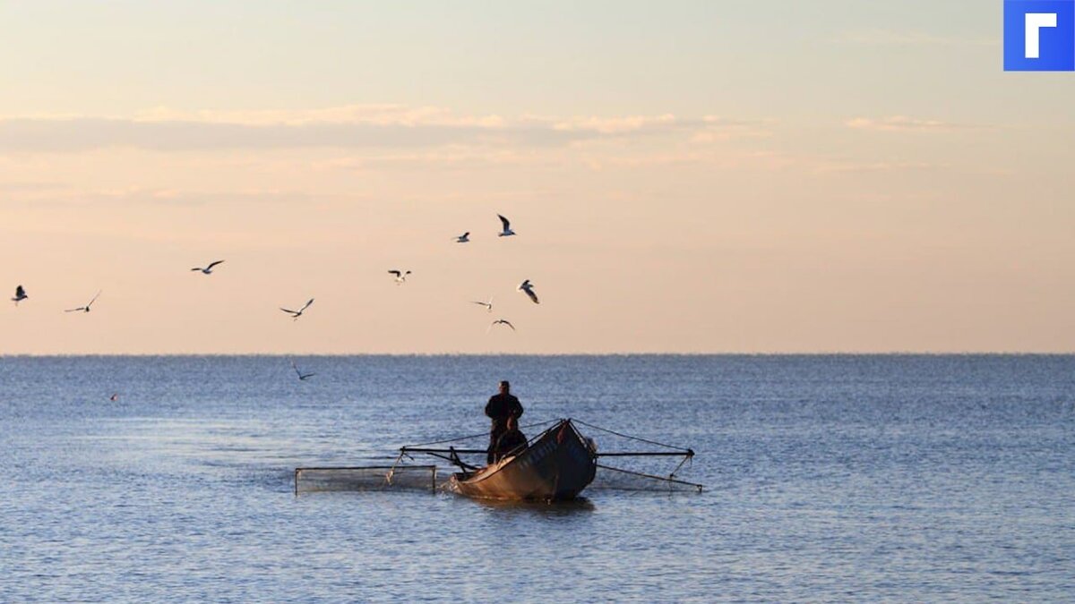 Рыбаки предупредили о подорожании самой дешевой рыбы