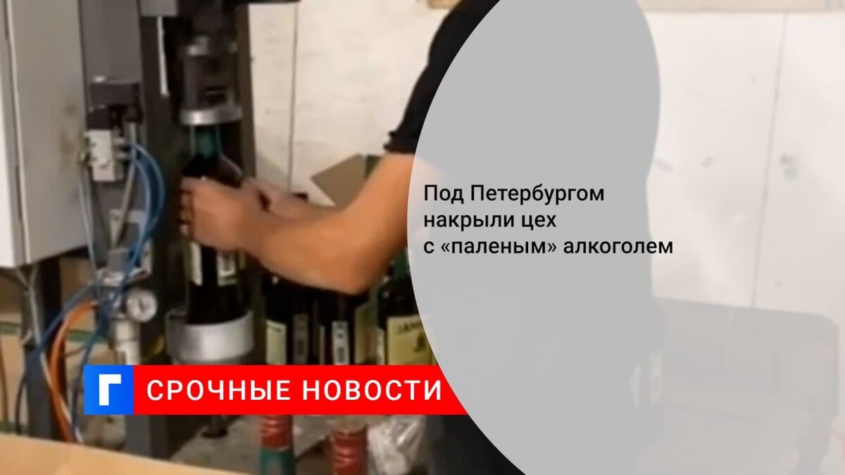 Под Петербургом накрыли цех с «паленым» алкоголем