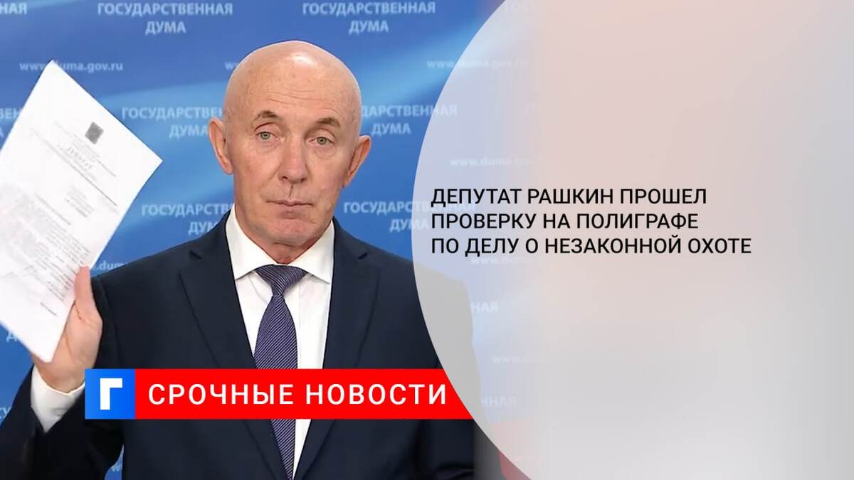 Депутат Рашкин прошел проверку на полиграфе по делу о незаконной охоте