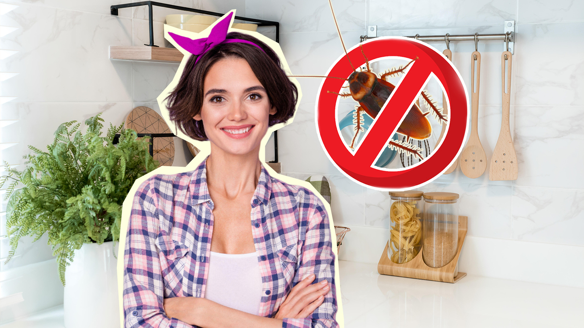 Бабушкин способ избавления от тараканов: никакие усачи не задержатся в квартире