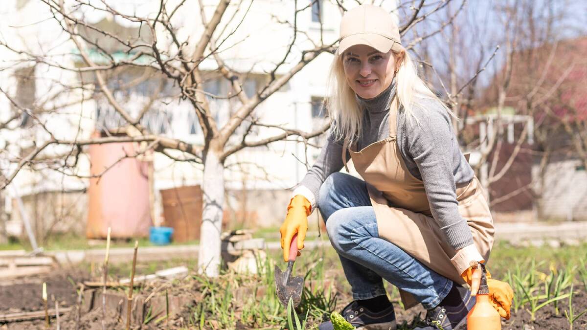 Сейте эти овощи сразу в открытый грунт: не боятся заморозков и холодной земли Сейте эти овощи сразу в открытый грунт: не боятся заморозков и холодной земли