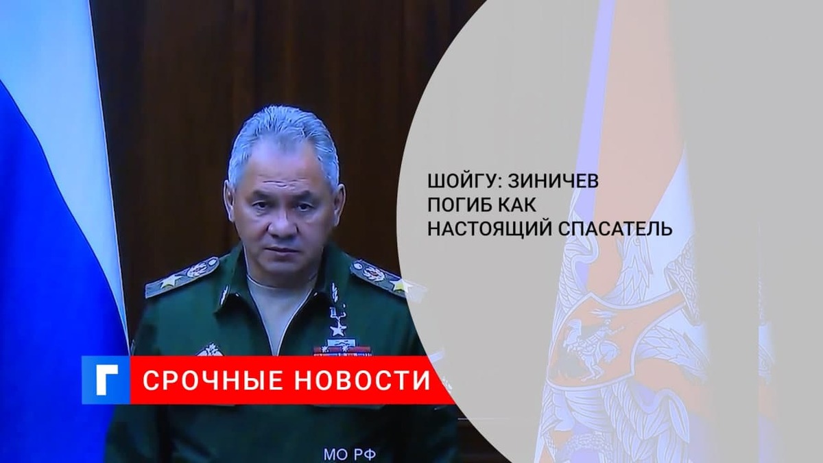 Шойгу заявил, что Зиничев погиб как настоящий спасатель Шойгу заявил, что Зиничев погиб как настоящий спасатель