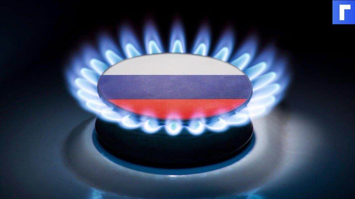 Правительство РФ допустило утрату лидерства по экспорту газа
