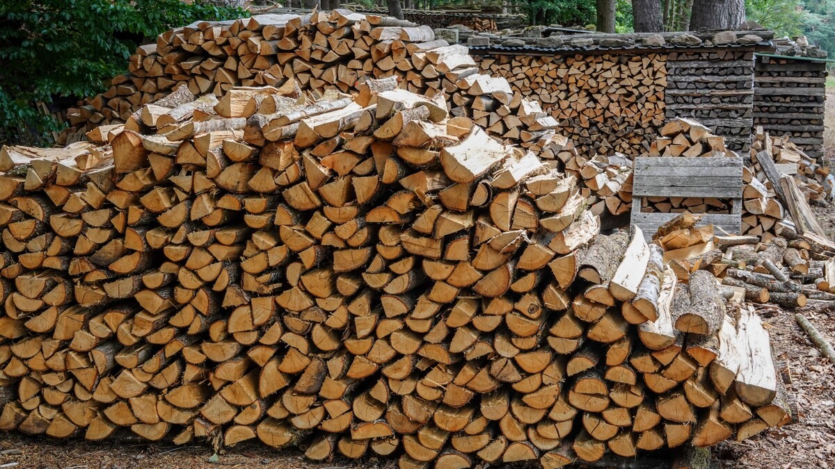 Заставлял считать дрова: помешанный на экономии британец нарвался на проблемы с законом