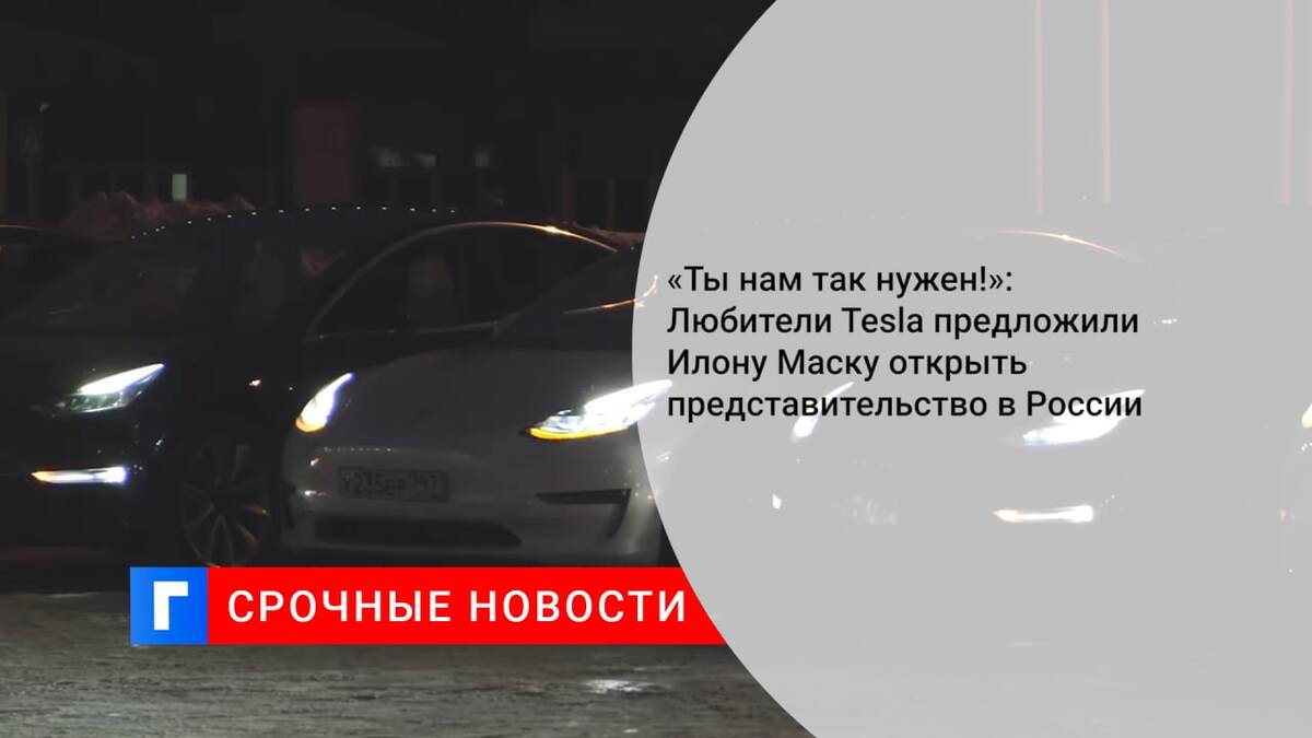 «Ты нам так нужен!»: Любители Tesla предложили Илону Маску открыть представительство в России  